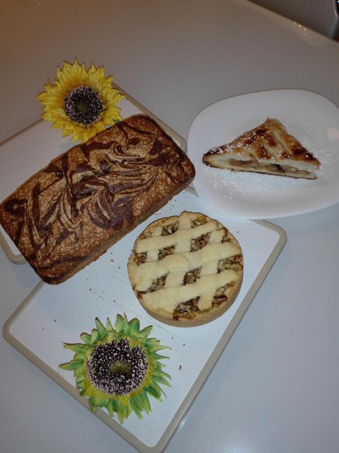 Girasole Grazioli 47 Bed & Breakfast Trento Dış mekan fotoğraf
