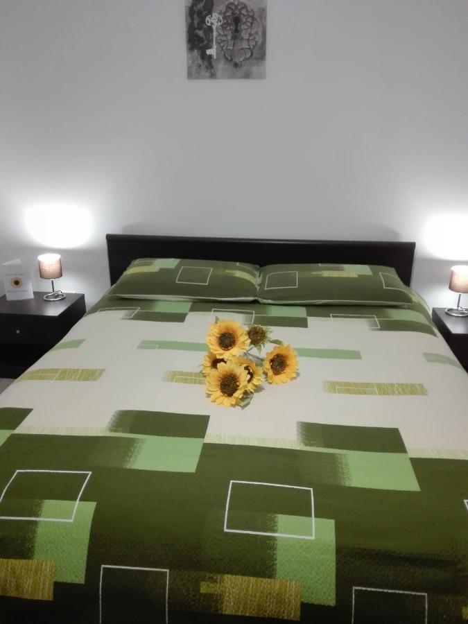 Girasole Grazioli 47 Bed & Breakfast Trento Dış mekan fotoğraf